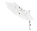 7310.jpg