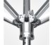 Axis marella runner