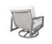 Elm Lounge Swivel Rocker LI B